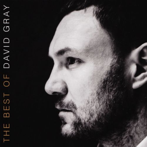  The Best of David Gray [CD]