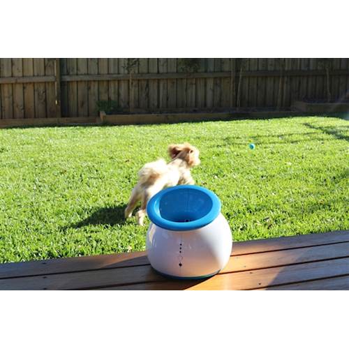 iFetch to Unveil First-Ever Interactive Digging Toy for Dogs at