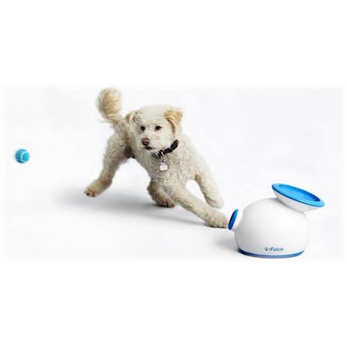 IFetch IDig Stay Interactive Dog Toy