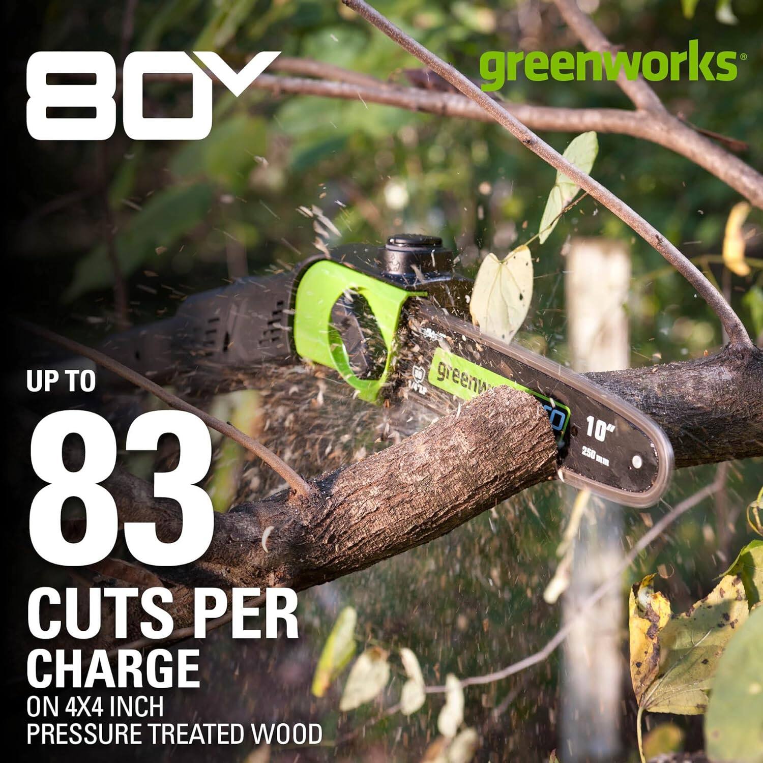 BOY greenworks UP TO 83 CUTS PER CHARGE ON 4X4 INCH PRESSURE TREATED WOOD 10" 250