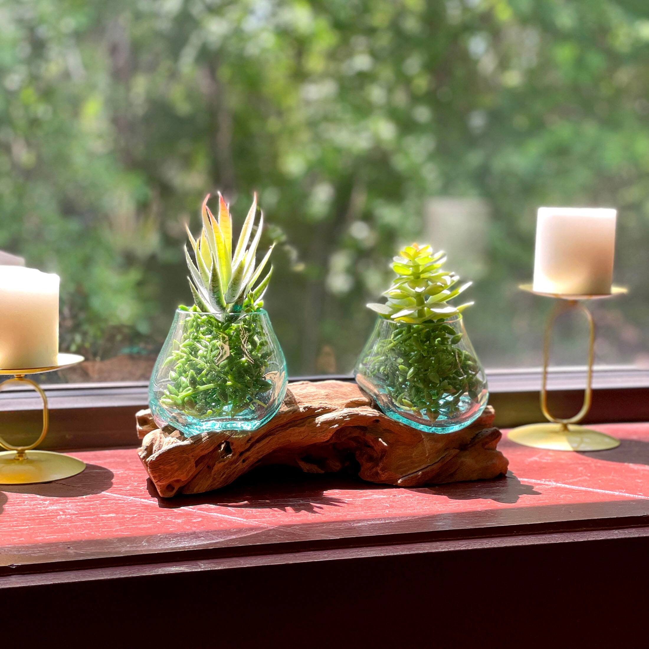 Alt View 4. Things2Die4 - 10.5" Double Molten Glass Bowls on Driftwood Hand Blown Planter Terrarium Decor - Natural.