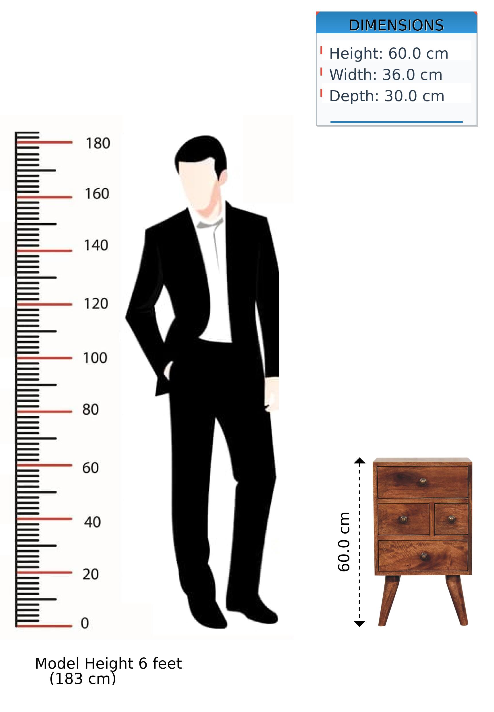 DIMENSIONS  
Height: 60.0 cm  
Width: 36.0 cm  
Depth: 30.0 cm  

Model Height: 6 feet (183 cm)
