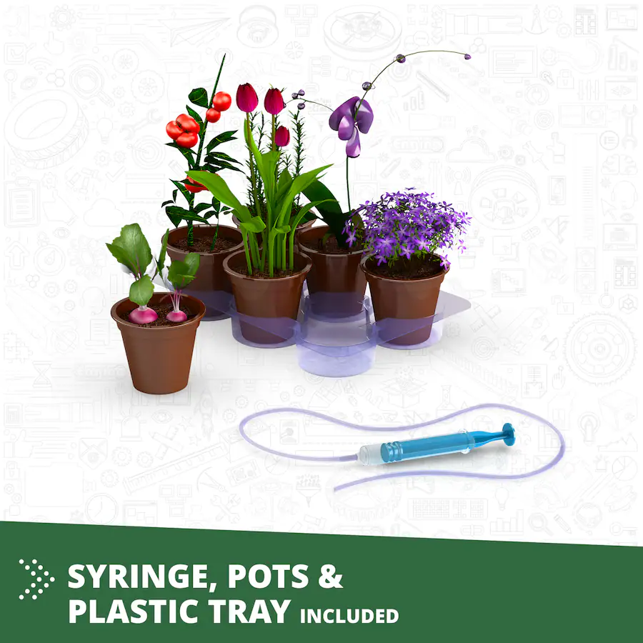 Assembly Lab Layout Engino Engino: Discovering STEM Botanic Laboratory: 4 Models, Toy ...
