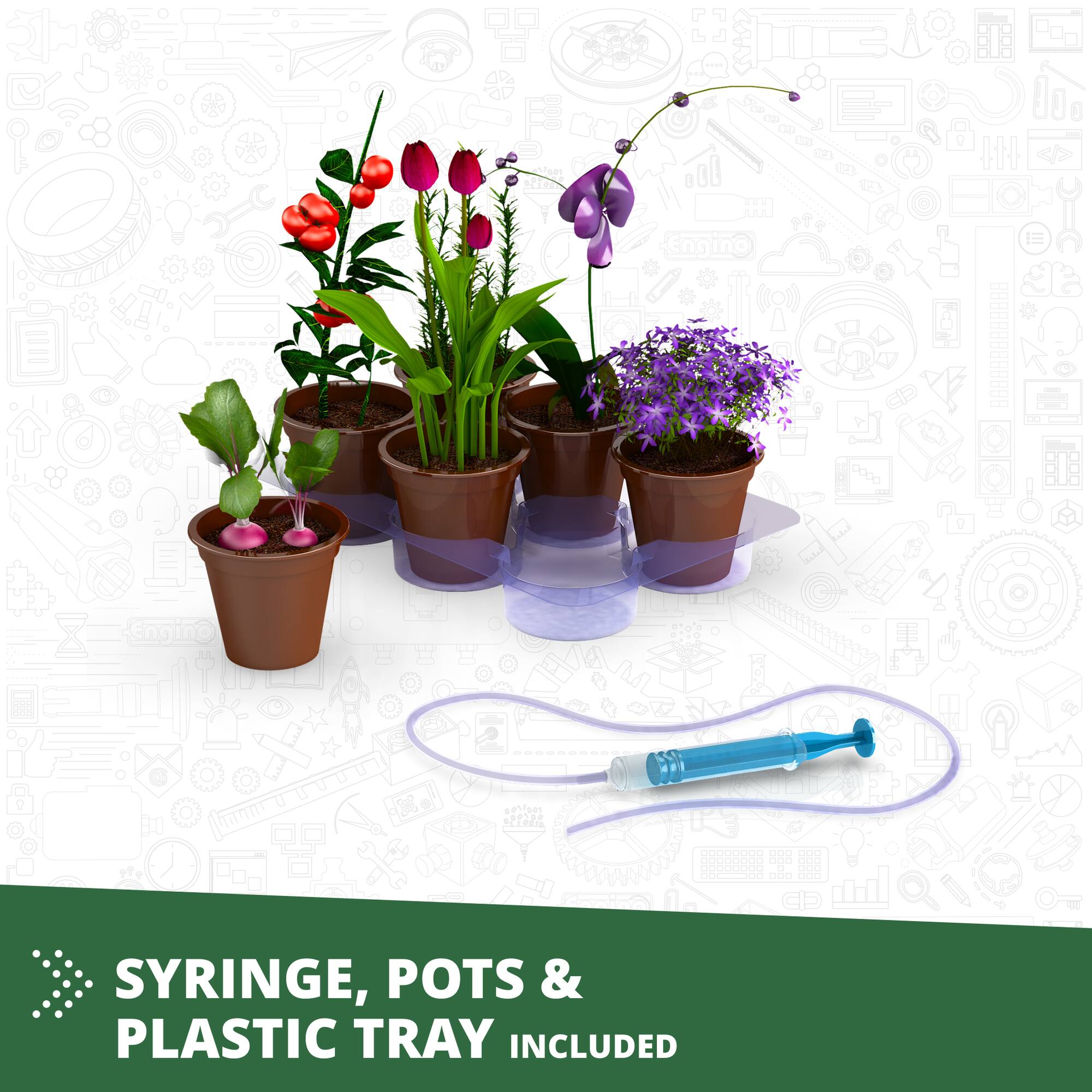 Engino Engino: Discovering STEM Botanic Laboratory: 4 Models, Toy ...