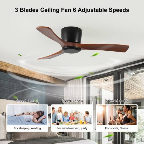 3 Blades Ceiling Fan 6 Adjustable Speeds

Speed 1 and 2: For sleeping, reading
Speed 3 and 4: For entertainment, party
Speed 5 and 6: For sports, fitness