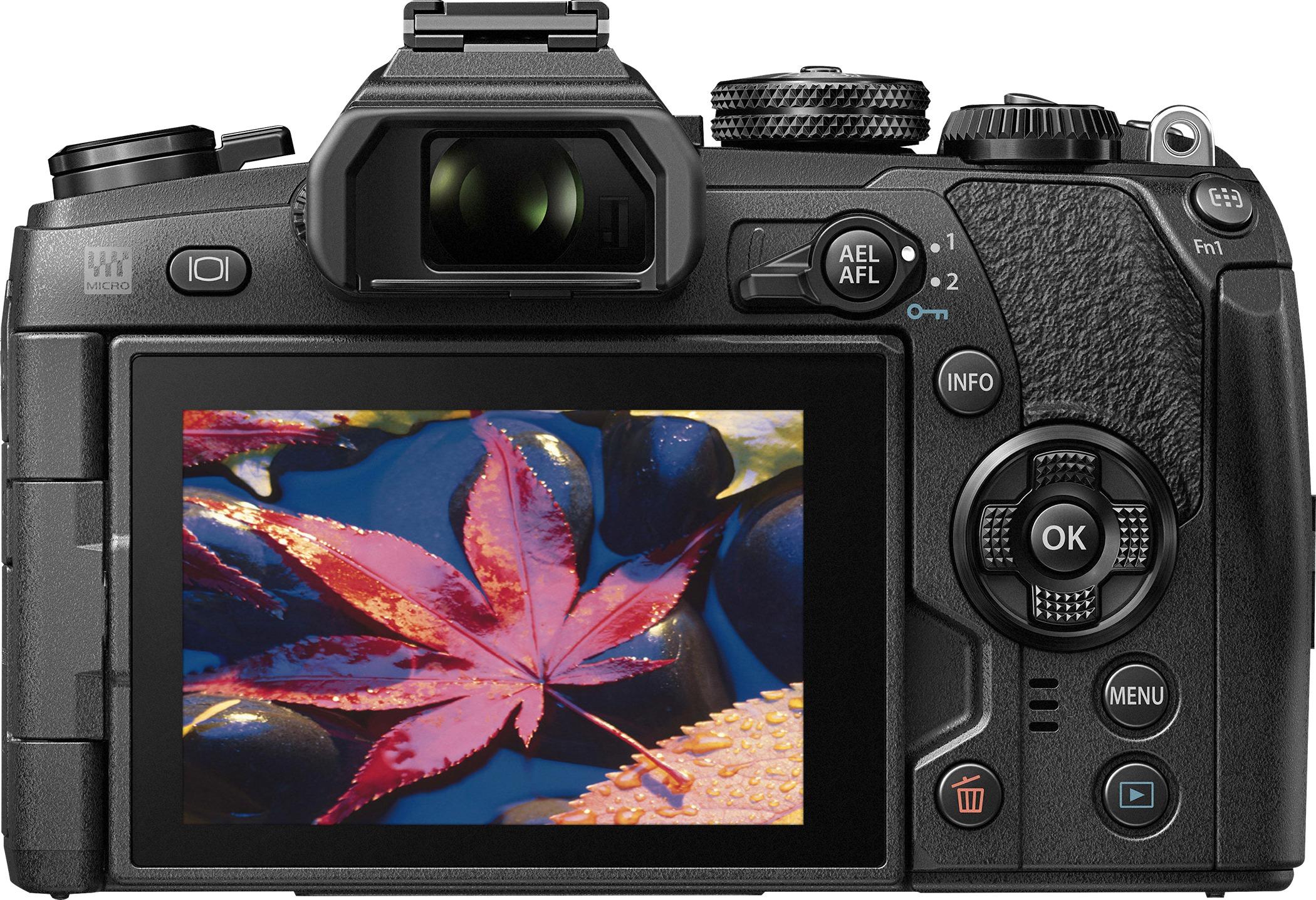 Best Buy: Olympus OM-D E-M1 Mark II Mirrorless Camera (Body Only 