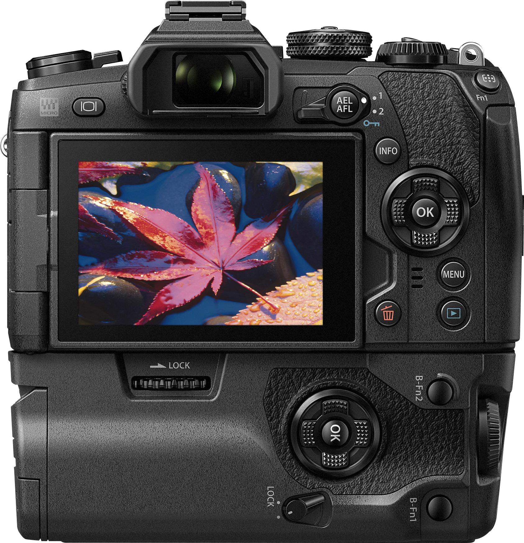 esthetisch Bondgenoot natuurlijk Best Buy: Olympus OM-D E-M1 Mark II Mirrorless Camera (Body Only) Black  V207060BU000