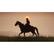 Alt View 20. Rockstar Games - Red Dead Redemption 2.