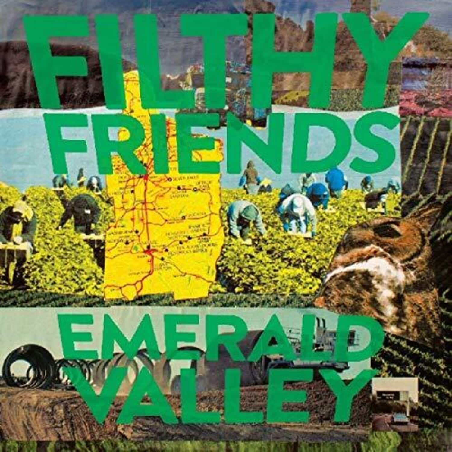 Filthy Friends - Emerald Valley   - VINYL LP price history on PriceWatchPro