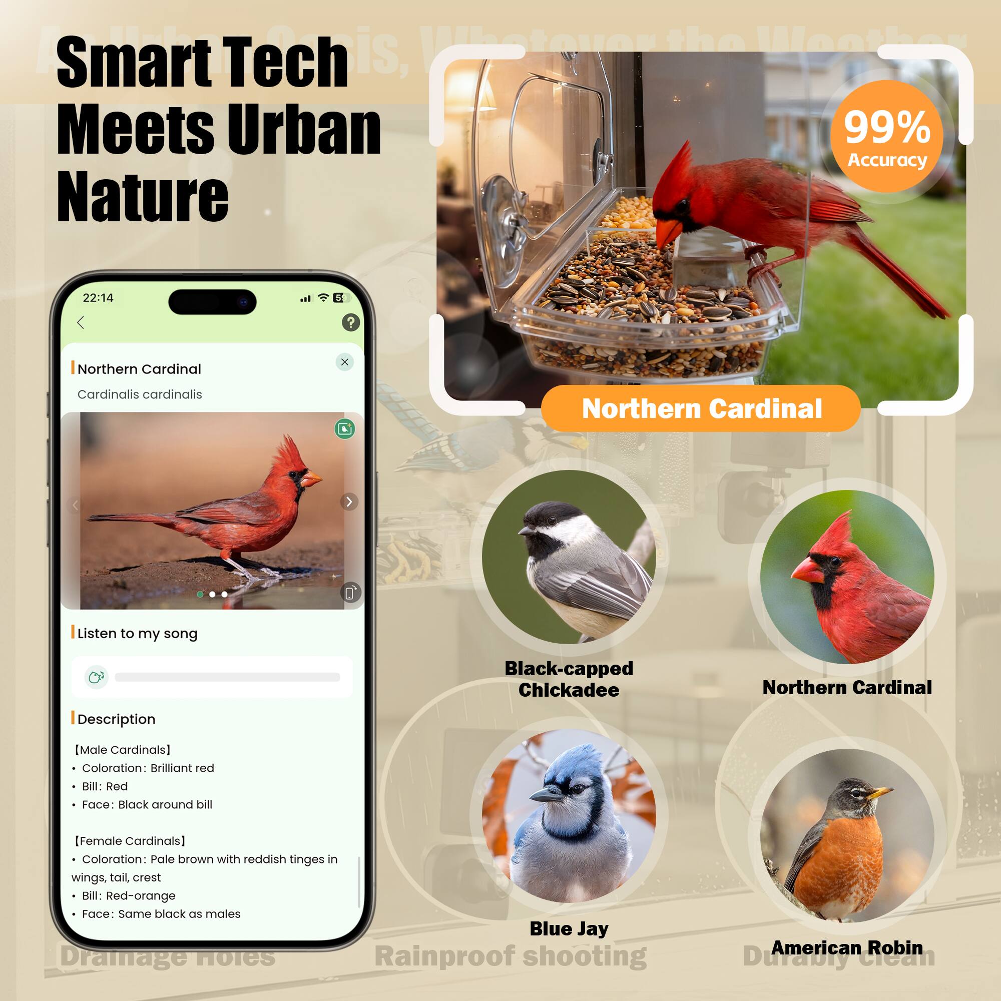 Smart Tech Meets Urban Nature

99% Accuracy

Northern Cardinal  
Cardinalis cardinalis

Listen to my song

Description

[Male Cardinals]
- Coloration: Brilliant red
- Bill: Red
- Face: Black around bill

[Female Cardinals]
- Coloration: Pale brown with reddish tinges in wings, tail, crest
- Bill: Red-orange
- Face: Same black as males

Black-capped Chickadee

Northern Cardinal

Blue Jay

American Robin

Damage notes

Rainproof shooting

Durably clean
