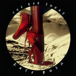 Kate Bush - Red Shoes - 2018 Remaster 180gm Black Vinyl - VINYL LP
