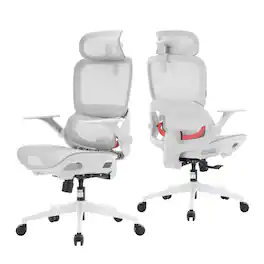 SIHOO - B100 Ergonomic Office Chair, Desk Chair with Zoned Back Support, 2D Wide Headrest, High Back Executive Chair - White