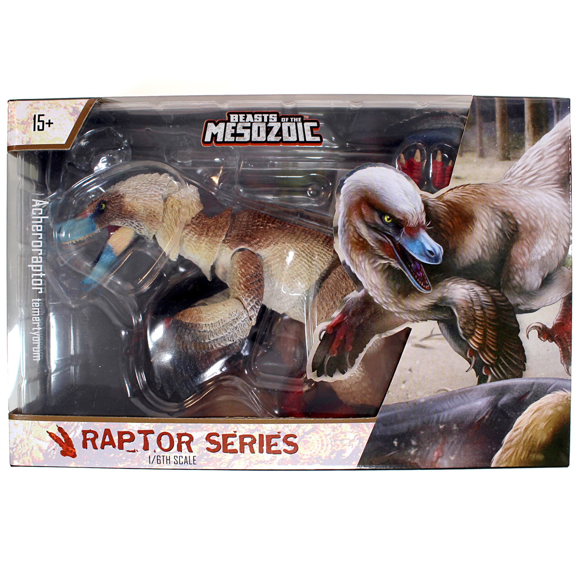 15+ Acheroraptor temertyorum BEASTS OF THE MESOZOIC RAPTOR SERIES 1/6TH SCALE