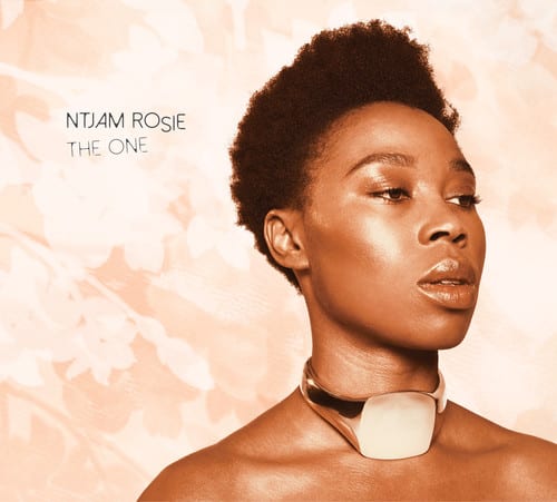Ntjam Rosie - One   - COMPACT DISCS [CD] price history on PriceWatchPro