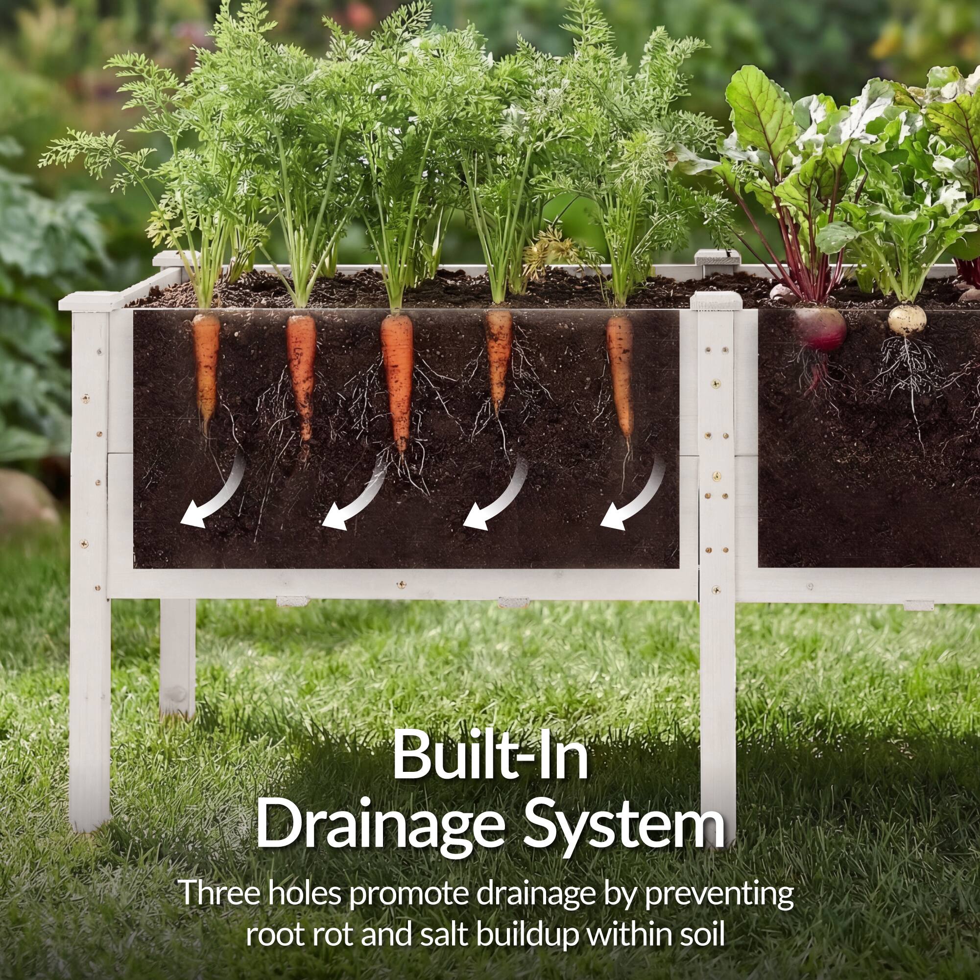 Built-In Drainage System

Three holes promote drainage by preventing root rot and salt buildup within soil