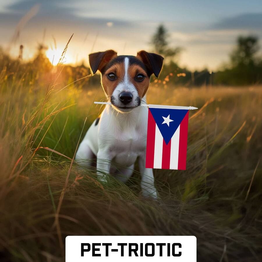 G128 30 Pack Handheld Puerto Rico 4