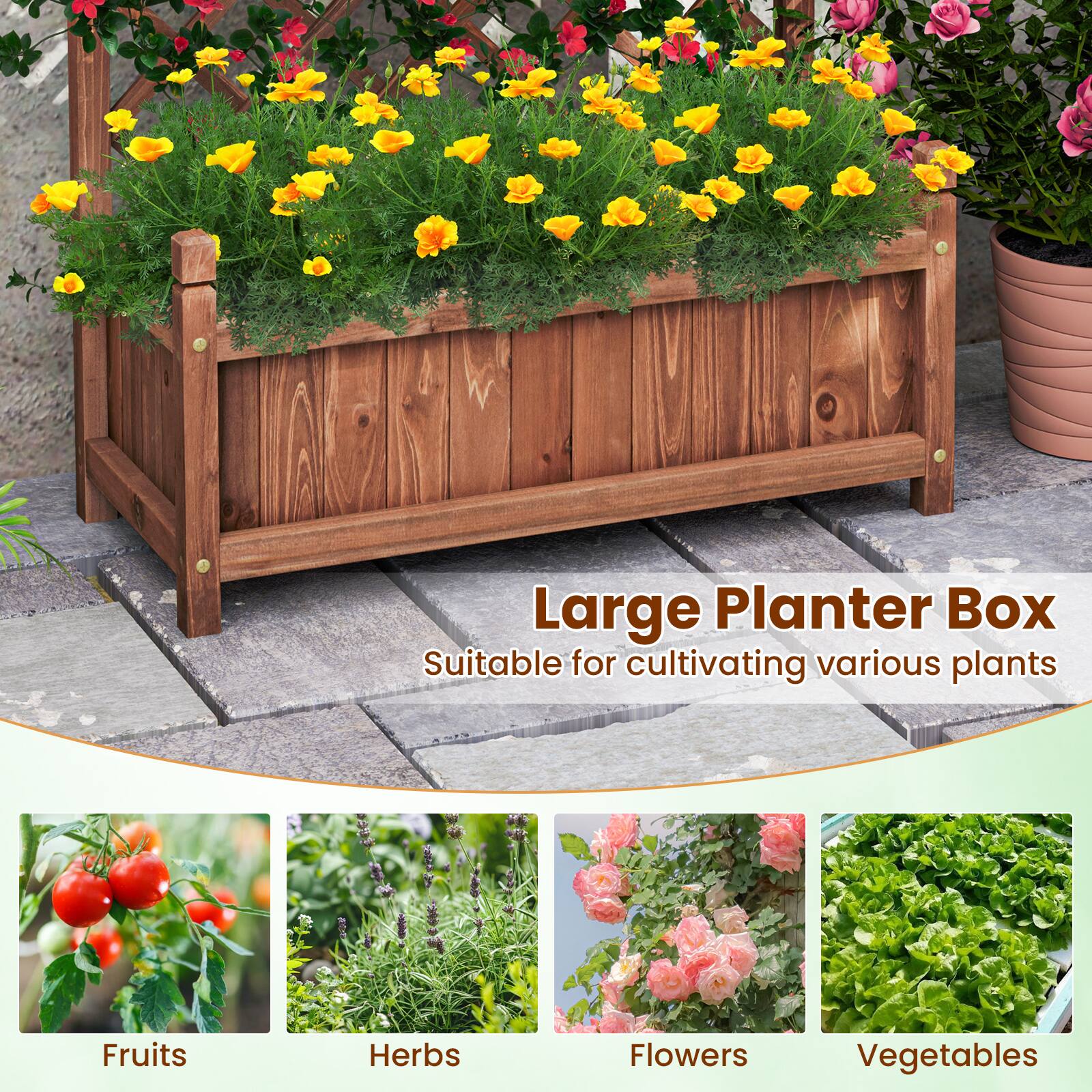 Large Planter Box  
Suitable for cultivating various plants  
- Fruits  
- Herbs  
- Flowers  
- Vegetables