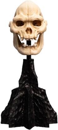 Weta Workshop - Polystone - The Lord of the Rings Trilogy - Skull of Lurtz Polystone Statue - COLLECTIBLES - Multicolor