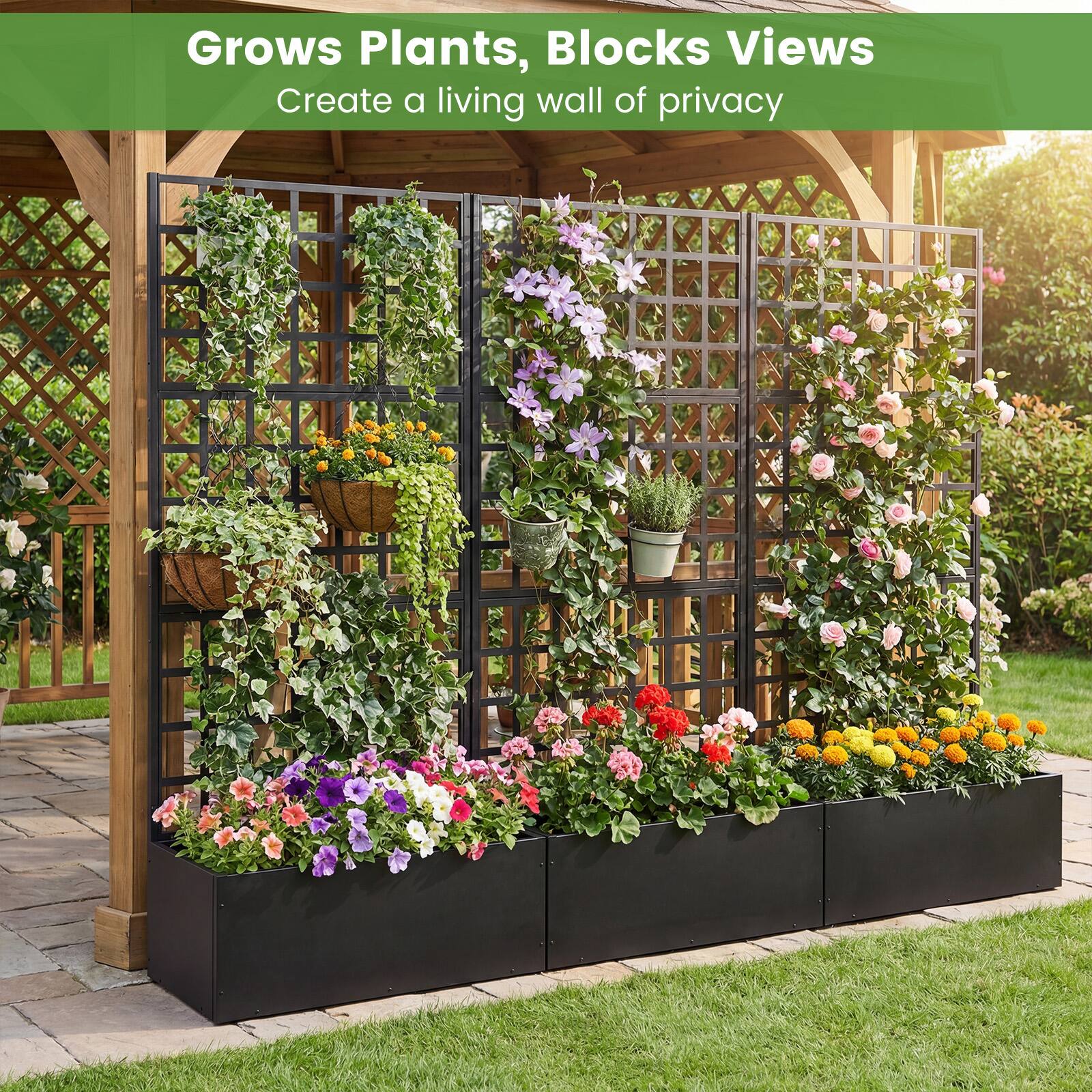 Grows Plants, Blocks Views  
Create a living wall of privacy