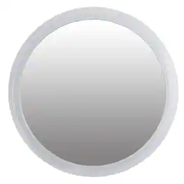 Zadro - Travel Mirror with 7X Magnification and Suction Cup - Clear
