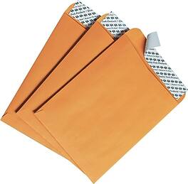 Quality Park - Redi-Strip Self Seal Catalog Envelope, 6" x 9", 100/Box - Kraft