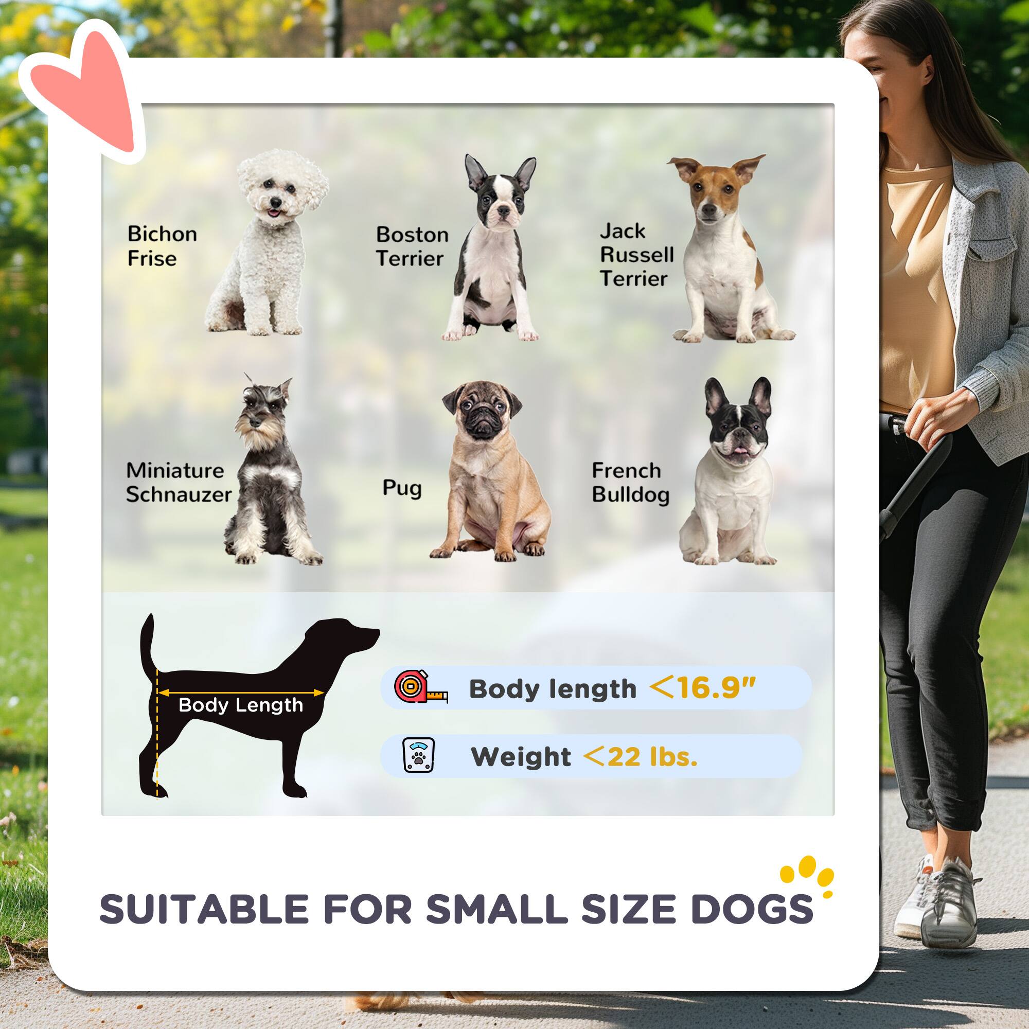 Bichon Frise  
Boston Terrier  
Jack Russell Terrier  
Miniature Schnauzer  
Pug  
French Bulldog  

Body Length <16.9"  
Weight <22 lbs.  

SUITABLE FOR SMALL SIZE DOGS