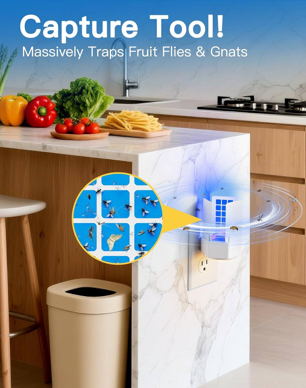 Capture Tool!  
Massively Traps Fruit Flies & Gnats