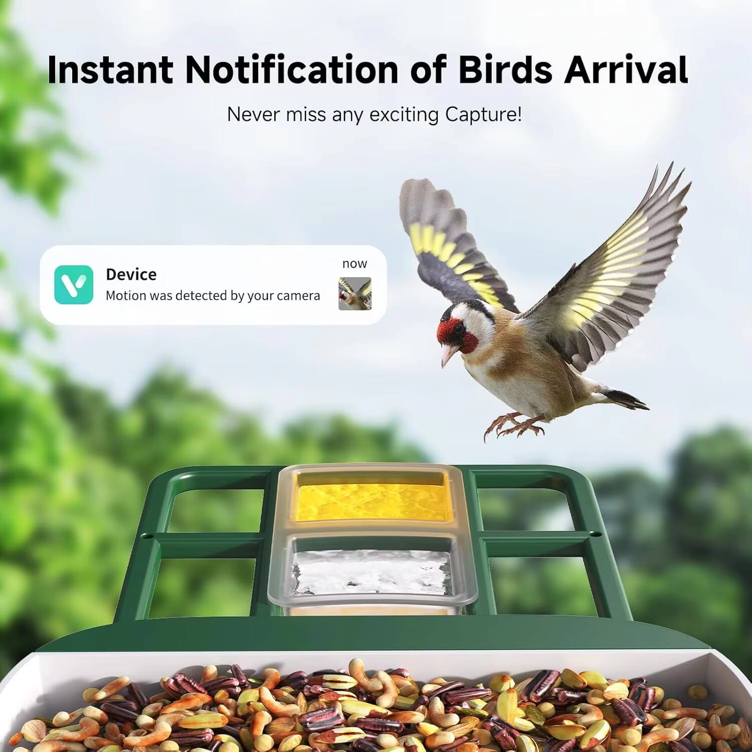 Instant Notification of Birds Arrival  
Never miss any exciting Capture!  

Device  
Motion was detected by your camera now