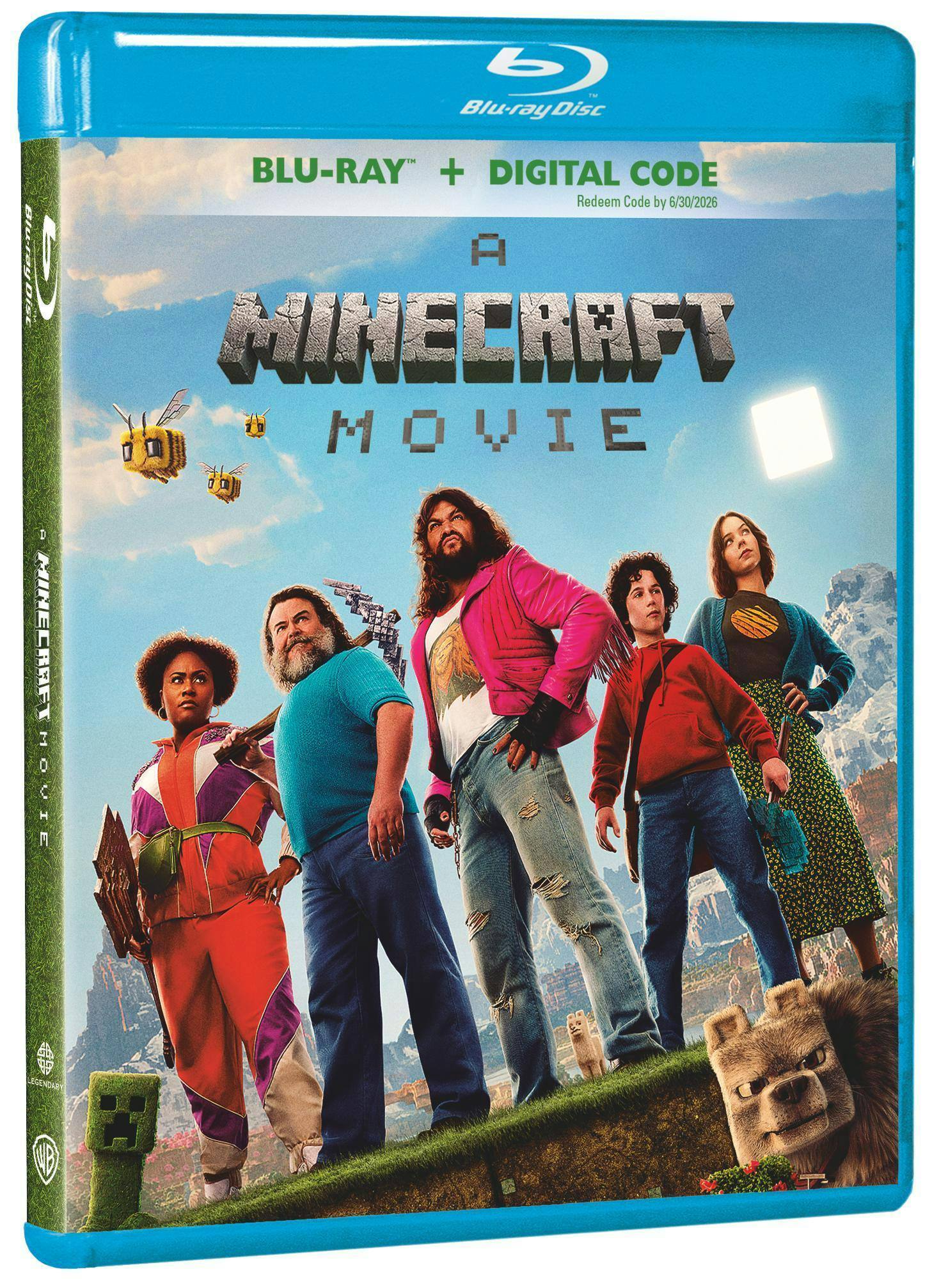 Angle. A Minecraft Movie [Blu-ray].