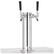 Front. Lynx - Professional Double Tap Tower Kit - Black Stainless Steel.