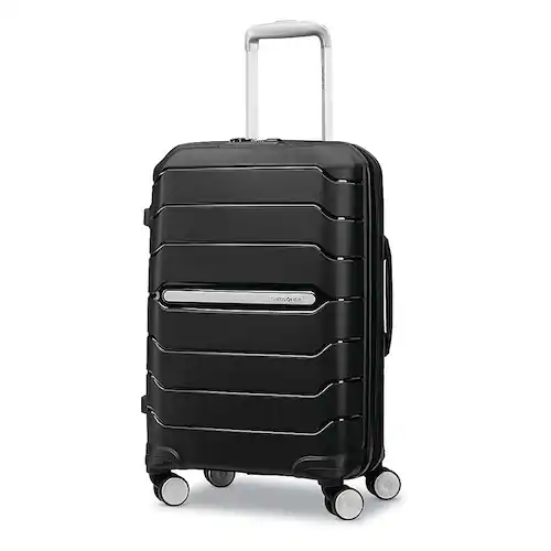 Checked Luggage