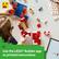 LEGO Builder app or printed instructions