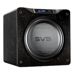 20 inch best sale bass speaker