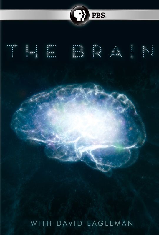  The Brain with David Eagleman [DVD]