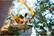 Alt View 12. Arlo - Refurbished Indoor/Outdoor 720p Wi-Fi Wire-Free Security Camera.