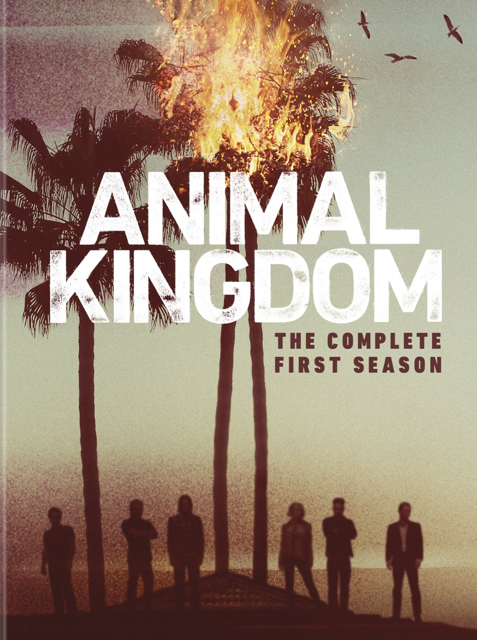 Animal Kingdom: The Complete First Season [3 Discs] - Best Buy