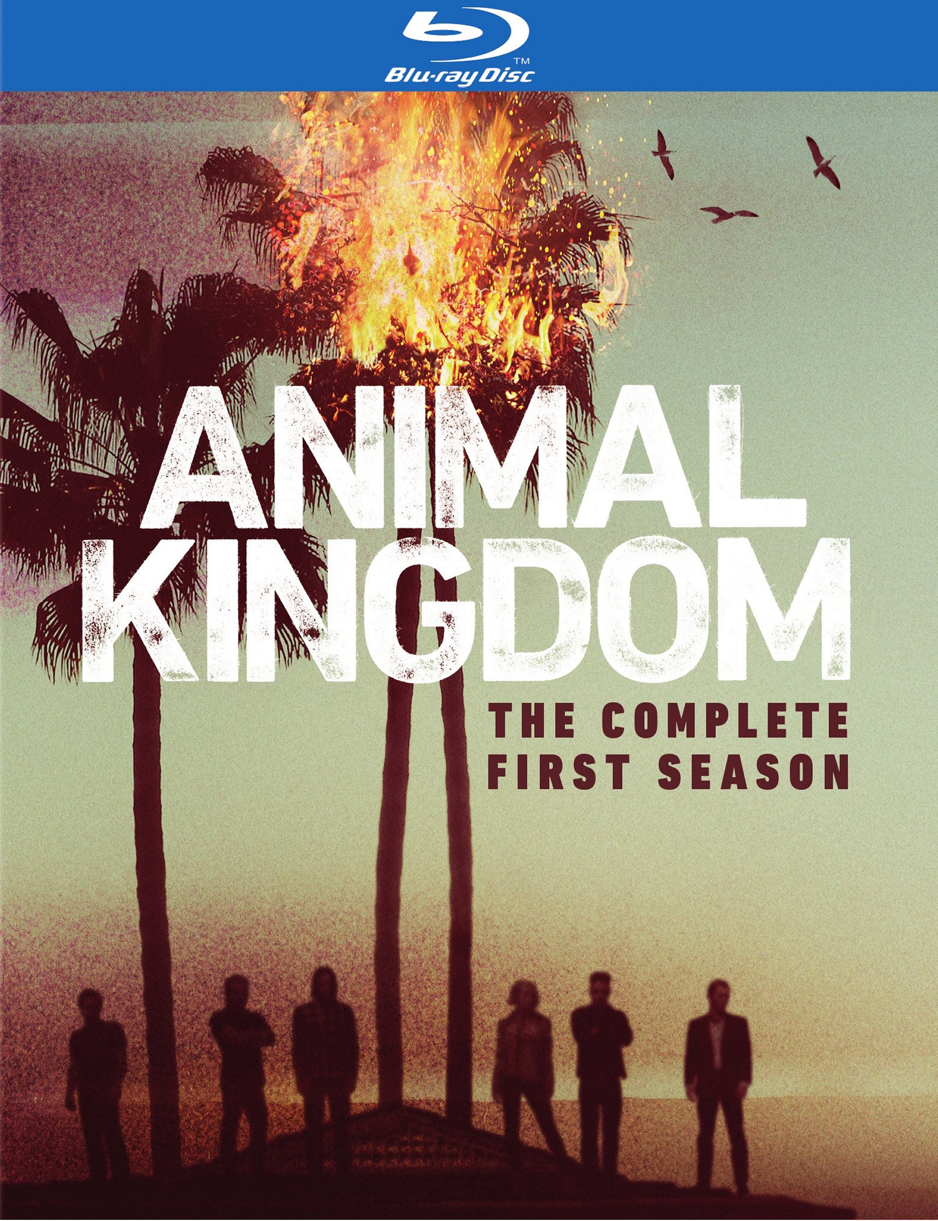 Animal Kingdom: The Complete First Season [Blu-ray] [2 Discs] - Best Buy