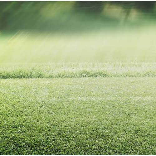 Best Buy Rory McIlroy PGA Tour Standard Edition PlayStation 4 [Digital