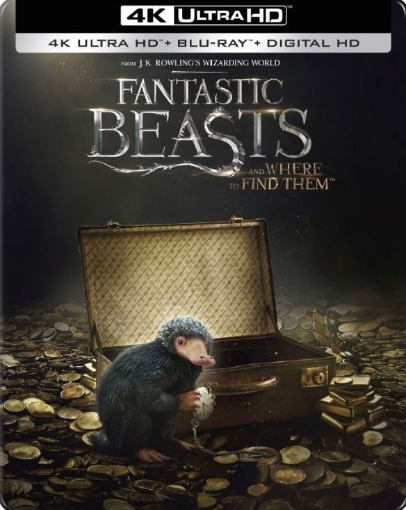  Fantastic Beasts and Where to Find Them [SteelBook] [4K Ultra HD Blu-ray/Blu-ray] [Only @ Best Buy] [2016]