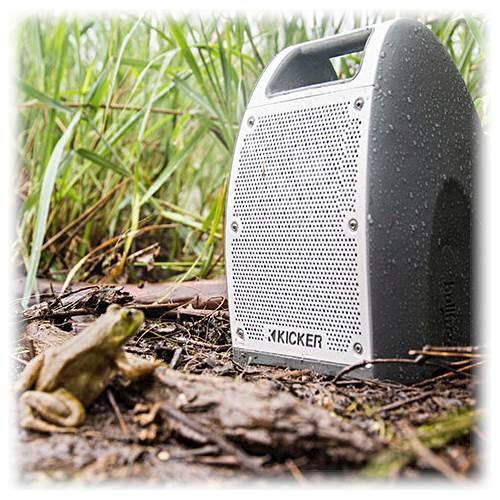 KICKER Bullfrog JUMP BF400 Portable Bluetooth Speaker Gray 43BF400GY - Best  Buy