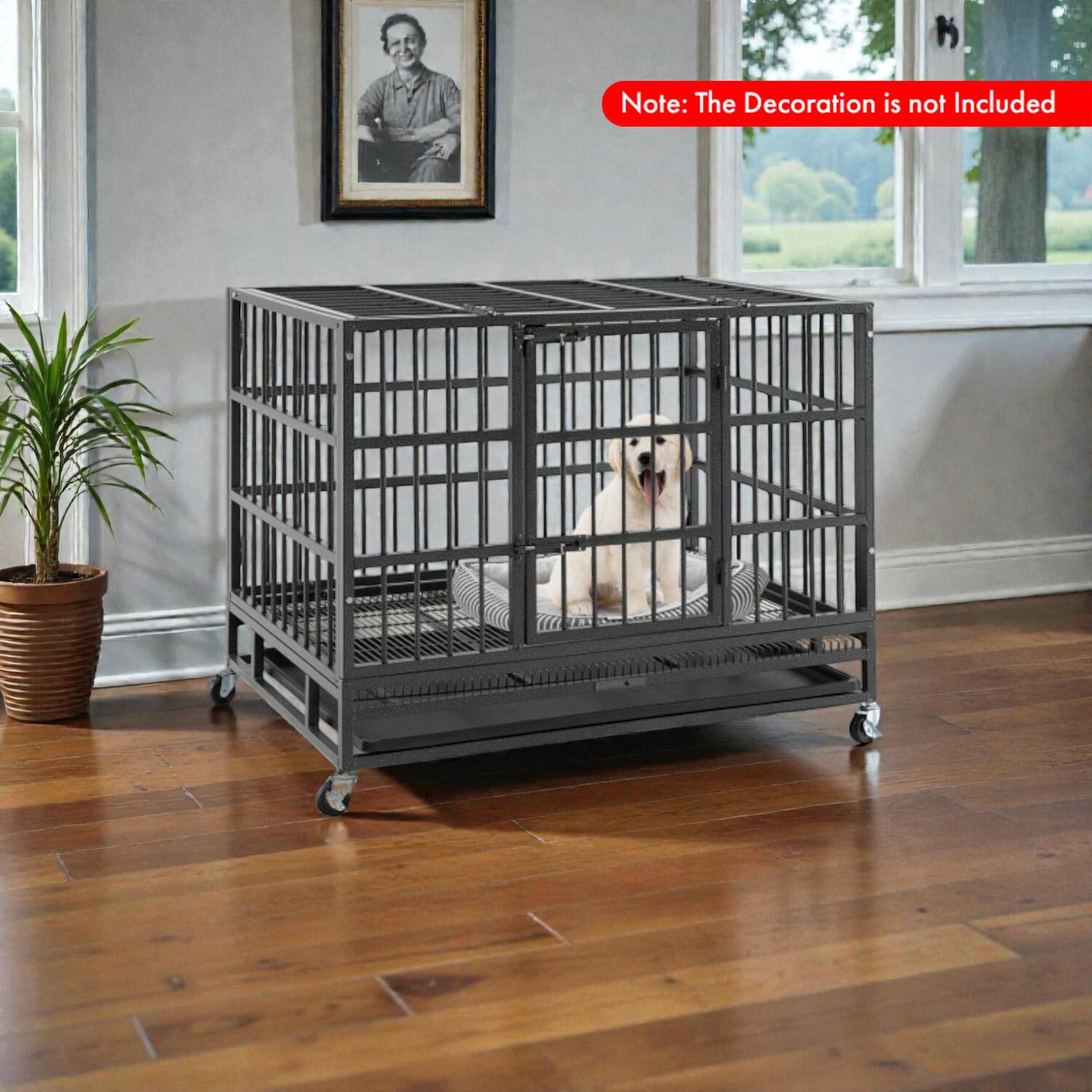 Note: The Decoration is not Included