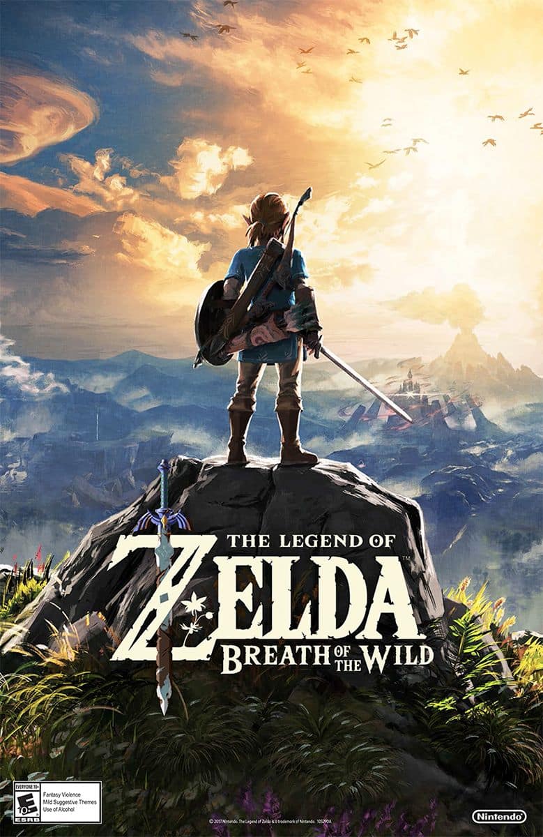 Nintendo switch breath of the wild on sale sale