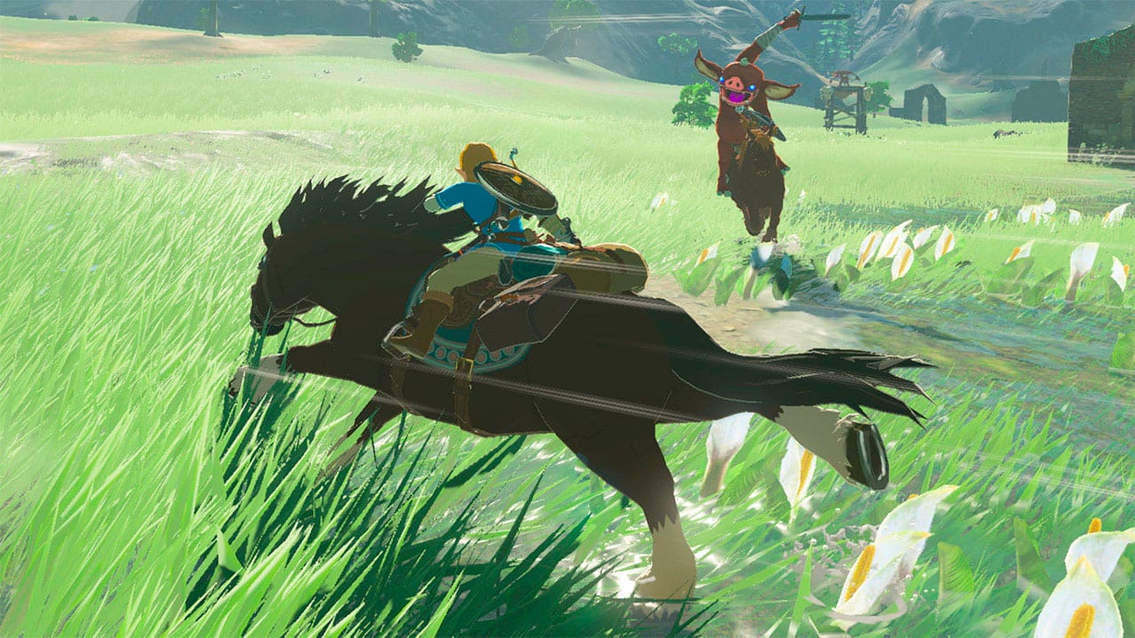  Legend of Zelda: Breath of the Wild