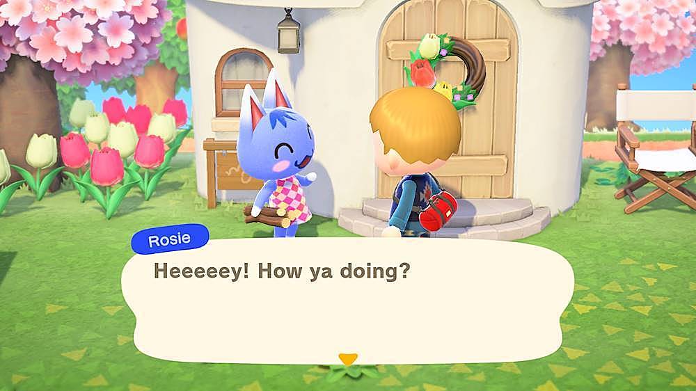 buy animal crossing switch game