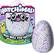 Front. Spin Master - Hatchimals Pengualas - Multi.