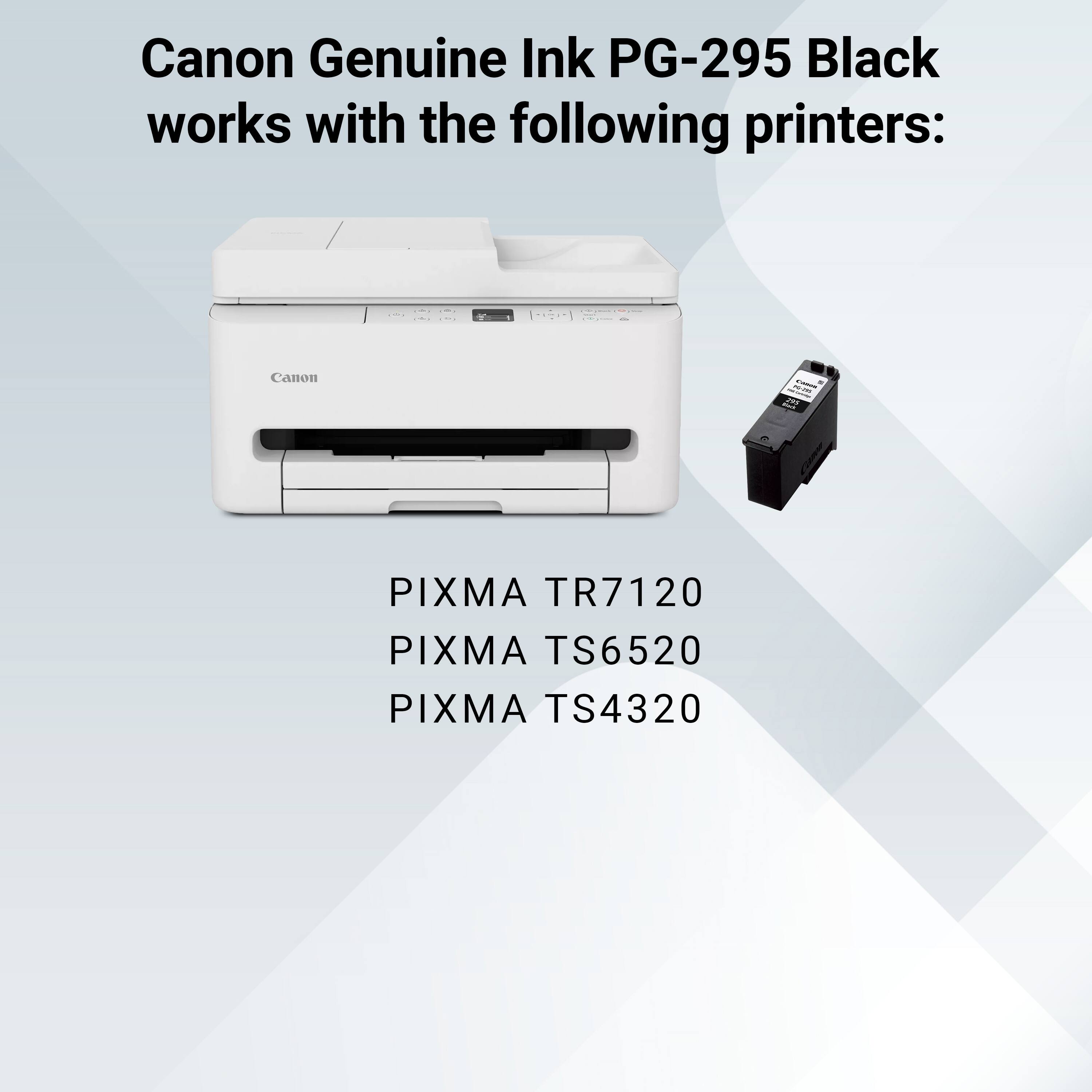 Canon Genuine Ink PG-295 Black works with the following printers:  
PIXMA TR7120  
PIXMA TS6520  
PIXMA TS4320