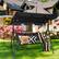 Alt View 3. Costway - Costway Outdoor Patio Swing Canopy 3 Person Canopy Swing Chair Patio Hammock - Black.