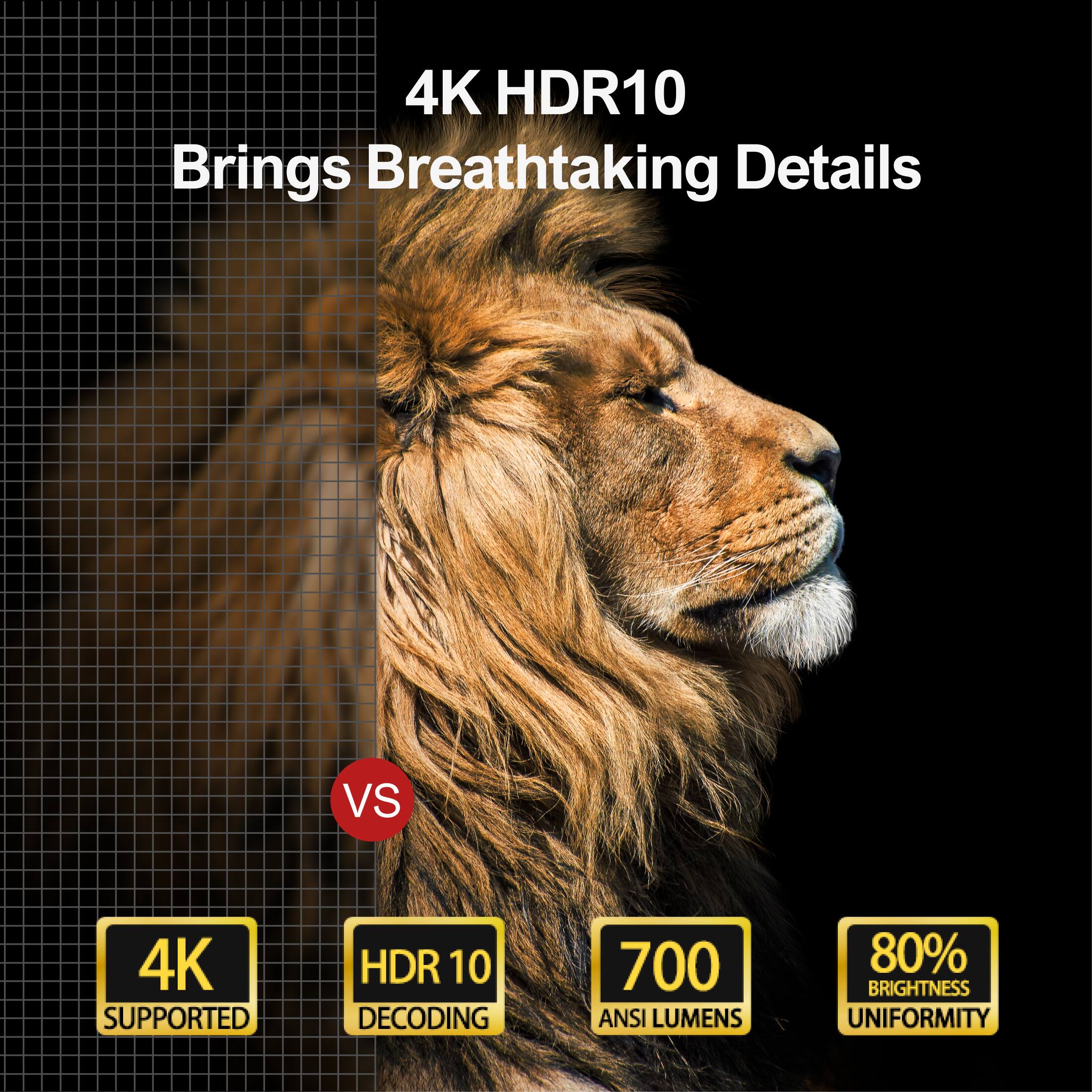 4K HDR10 Brings Breathtaking Details VS 4K SUPPORTED HDR 10 DECODING 700 ANSI LUMENS 80% BRIGHTNESS UNIFORMITY