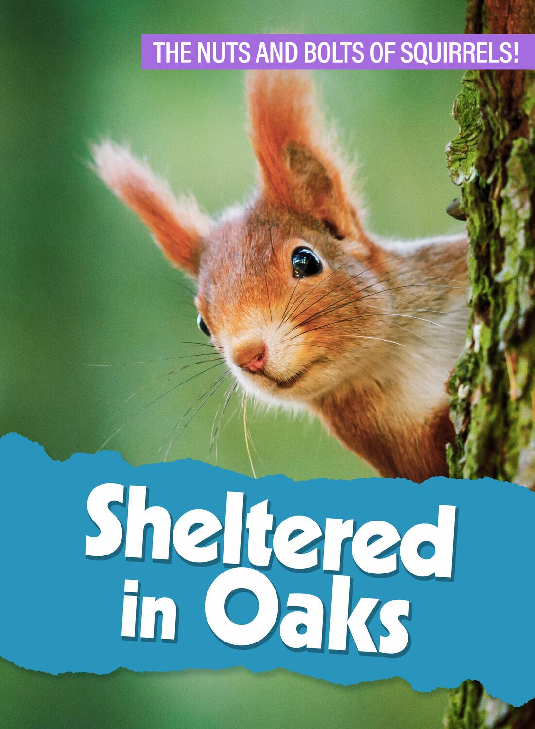 Front. Sheltered In Oaks   - DVD.