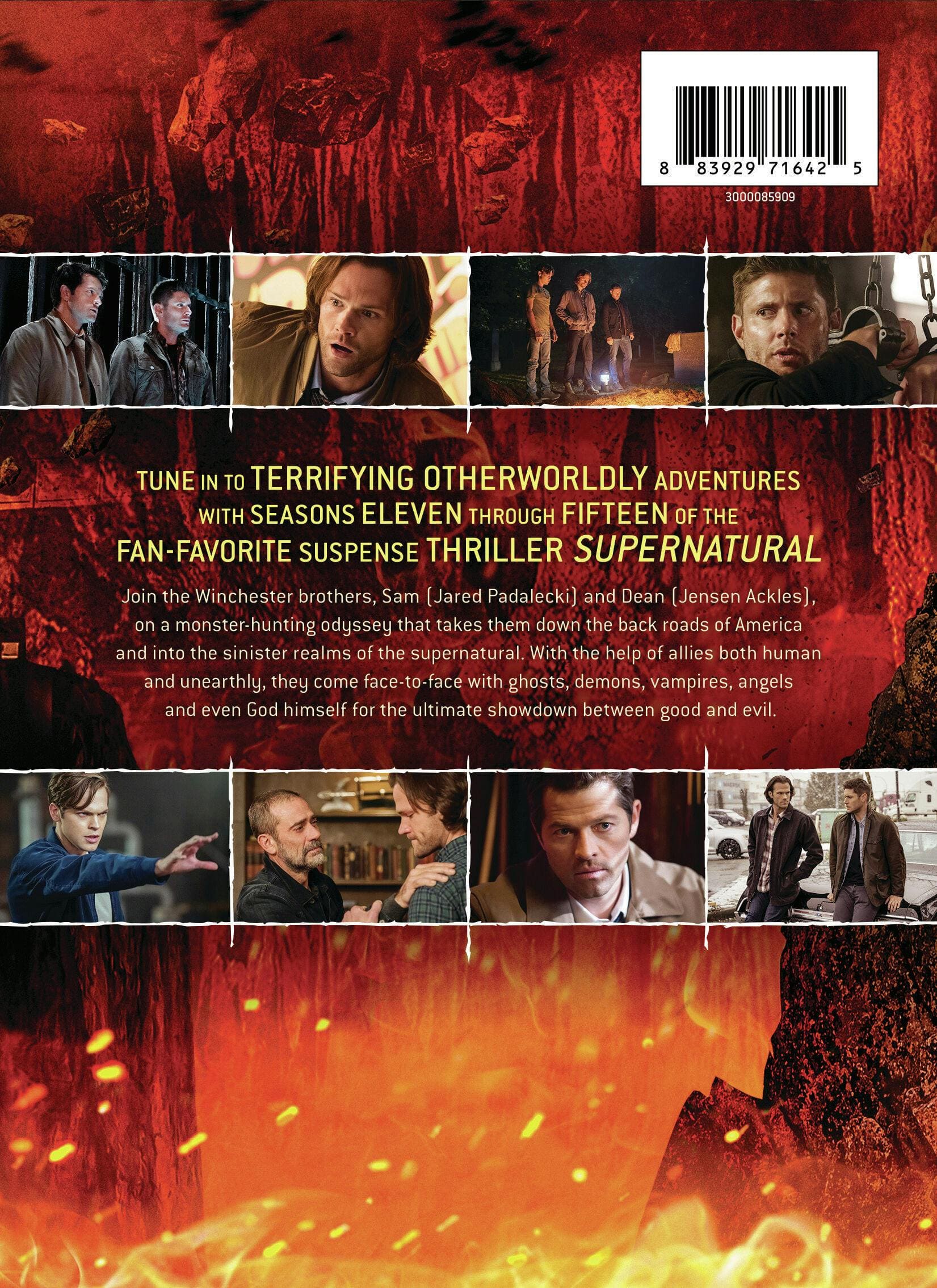 Supernatural: Seasons 11 15 [DVD] [Standard] - Best Buy